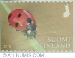 Image #1 of Domestic º 2018 - Ladybug