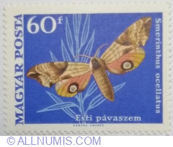Image #1 of 60 Fillér 1969 - Eyed Hawk-moth (Smerinthus ocellatus)