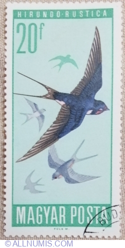 20 filler 1966 - Barn Swallow (Hirundo rustica)