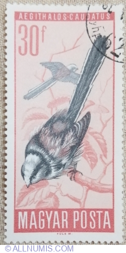 30 filler 1966 - Longtailed Tit (Aegithalos caudatus