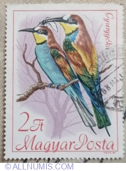 Image #1 of 2 forint 1968 - European Bee-eater (Merops apiaster)