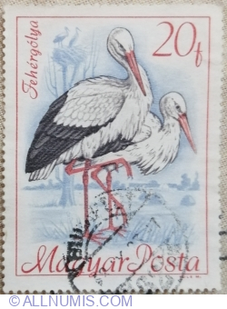 Image #1 of 20 Filler 1968 -  White Stork (Ciconia ciconia)
