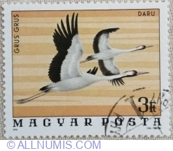3 forint 1977 - Common Crane (Grus grus)