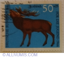 Image #1 of 50+25 Pfennig 1966 - Red Deer (Cervus elaphus)