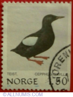 Image #1 of 1,50 Coroane 1981 - Black Guillemot or Tystie (Cepphus grylle)