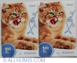 Image #2 of 1,80 Lei 2020 - Persian Cat