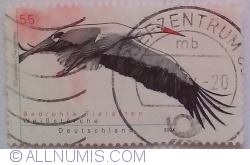 55 Euro Cent 2004 - White Stork (Ciconia ciconia)