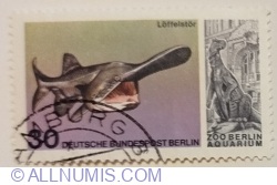 30 Pfennig 1977 - American Paddlefish (Polyodon spathula), Iguanadon