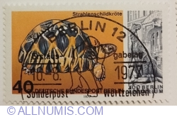 40 Pfennig 1977 - Radiated Tortoise (Geochelone radiata), Iguanadon