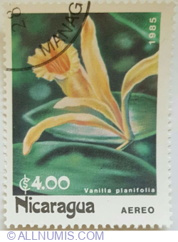 Image #1 of 4 Córdoba 1985 - Vanilla planifolia