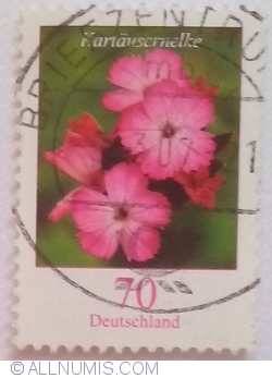 70 Cents 2006 - Carthusianorum Dianthus
