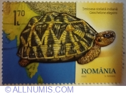 1,70 Lei 2021 - Indian Star Tortoise (Geochelone elegans)
