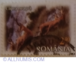 2,40 Lei 2023 - Alpine Chamois (Rupicapra rupicapra)