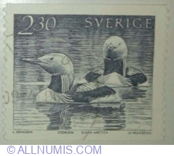 Image #1 of 2,30 Kronor 1986 - Black-throated Loon (Gavia arctica)