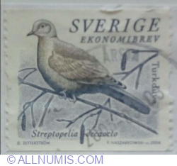 Image #1 of EKONOMIBREV º 2004 - Eurasian Collared Dove (Streptopelia decaocto)
