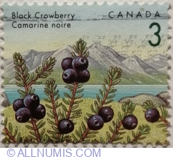 Image #1 of 3 Cents 1992 - Black Crowberry (Empetrum nigrum)