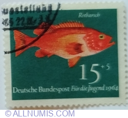 15+5 Pfennig 1964 - Norway Redfish (Sebastes viviparus)