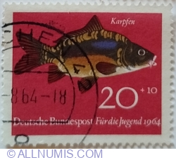 20+10 Pfennig 1964 - Common Carp (Cyprinus carpio)