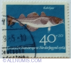 40+20 Pfennig 1964 - Atlantic Cod (Gadus morhua)