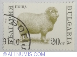 20 Stotinka 1991 - Domestic Sheep (Ovis ammon aries)