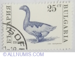 Image #1 of 25 Stotinka 1991 - Domestic Goose (Anser anser domestica)