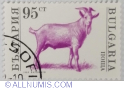 Image #1 of 95 Stotinka 1992 - Billy Goat (Goat hircus)
