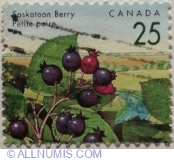 Image #1 of 25 Cents 1992 - Saskatoon Berry (Amelanchier alnifolia)