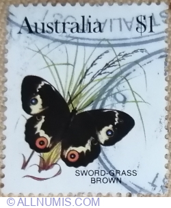 1 dolar 1983 - Swordgrass Brown (Tisiphone abeona)