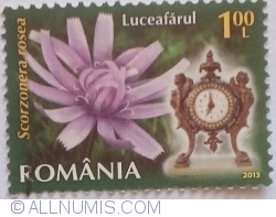 Image #1 of 1 Leu - Luceafarul (Scorzonera rosea)