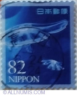 Image #1 of 82 Yen 2018 - Jellyfish