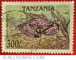 300 Shilingi 1994 - Florida Stone Crab (Menippe mercenaria)