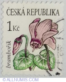 Image #1 of 1 Coroană - Ciclamen alpin (Cyclamen purpurascens)