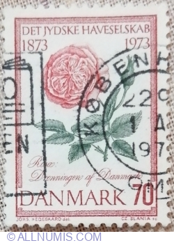 Image #1 of 70 øre 1973 - "Queen of Denmark" Rose