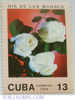 13 Centavo 1988 - Roses