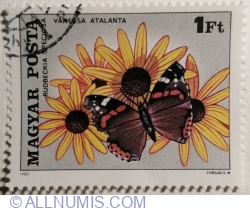 1 Forint 1980 - Red Admiral (Vanessa atalanta), Showy Black-eyed Susan (Rudb