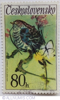 Image #1 of 80 Haler - Cuckoo