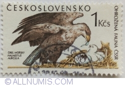 Image #1 of 1 Kčs 1989 - White-tailed eagle (Haliaetus albicilla)