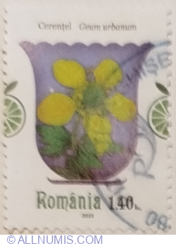 1,40 Lei 2023 - Wood Avens (Geum urbanum)