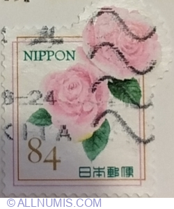 Image #1 of 84 Yen 2020 - Pink Rose