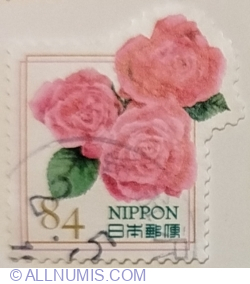 Image #1 of 84 Yen 2020 - Rose