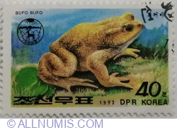 40 Chon 1992 - Common Toad (Bufo bufo)