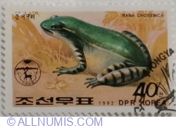 40 Chon 1992 - Seoul Frog (Rana chosenica)