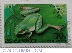 Image #1 of 70 Chon 1992 - Japanese Tree Frog (Hyla japonica)