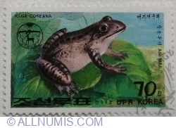 70 Chon 1992 - Korean Brown Frog (Rana coreana)