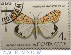 Image #1 of 4 Copeici 1986 - Crimson-speckled Moth (Utetheisa pulchella)