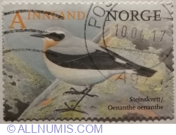 Image #1 of A Innland º 2015 - Northern Wheatear (Oenanthe oenanthe)