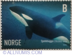 Image #1 of B º 2005 - Killer Whale (Orcinus orca)