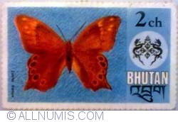 Image #1 of 2 Chhertum Bhutan -  Lathe kansa Butterfly