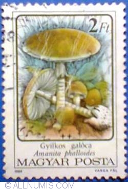 Image #1 of 2 Forint 1986 - Deathcap mushroom