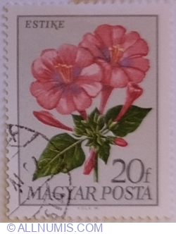 20 Fillér 1968 - Four O'clock Flower (Mirabilis jalapa)